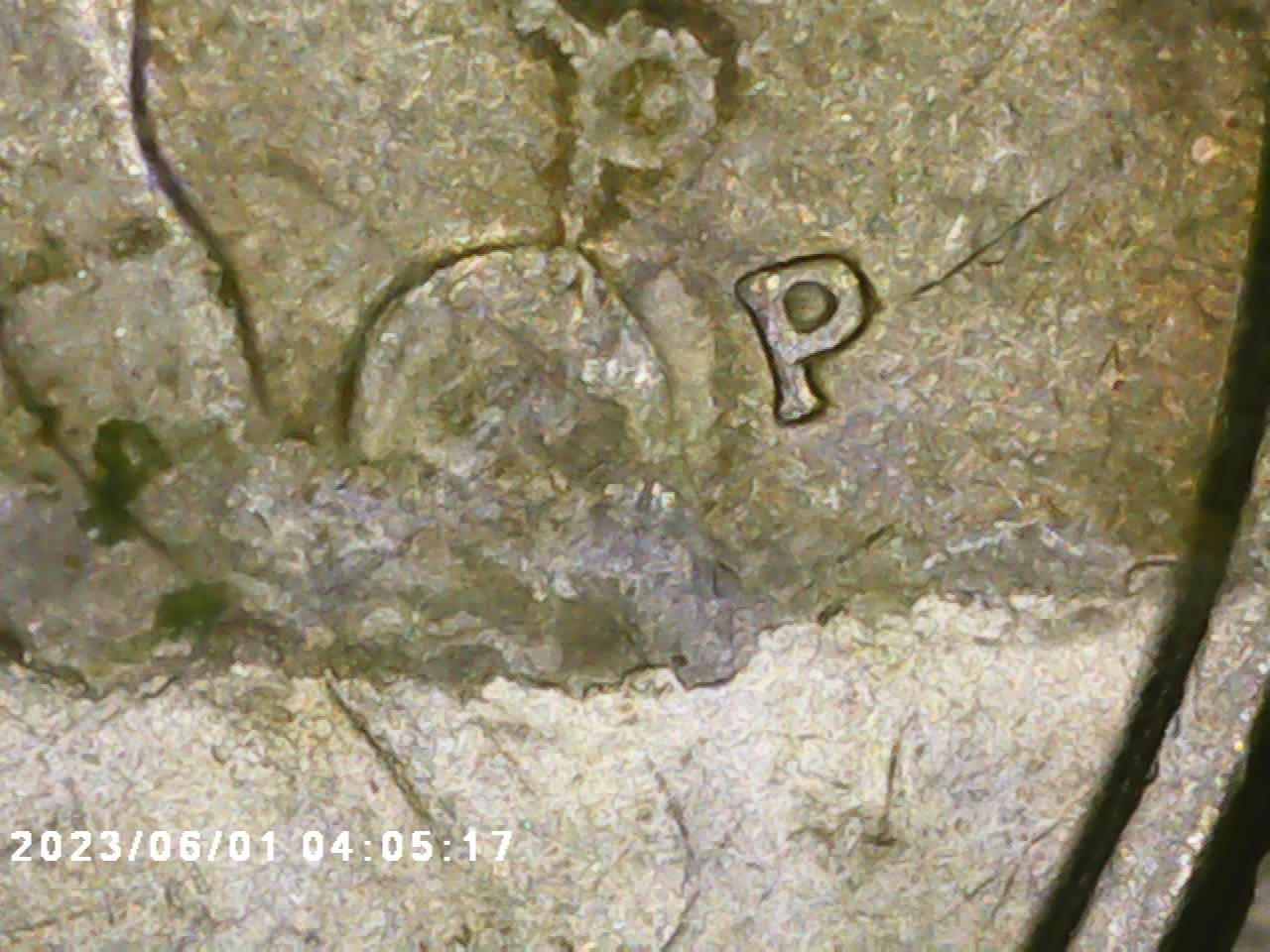 1989-P-Washington-Quarter,-Unusual-Feature